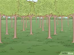 4 Ways To Start A Tree Farm - Wikihow