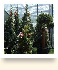 Find the perfect building to live in by filtering to your preferences. Bay Trees Norfolk Herbs