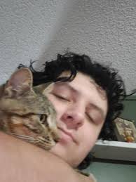 I'm sick and have a migraine, I'd appreciate pics of cats for the feel  goods : r/cats