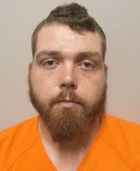 Man pleads guilty to killing toddler, hurting twin