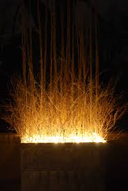 Container Planting Dirt Simple Winter Planter Outdoor Lighting Backyard Garden