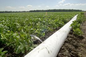 Irrigation