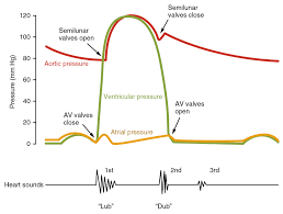 the cardiac cycle pressures in the heart