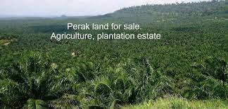 We list here all categories of land available for sale in malaysia. Perak Land Land For Sale In Perak Malaysia Penang Properties Com