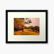 Adelaide Hills Wall Art Redbubble