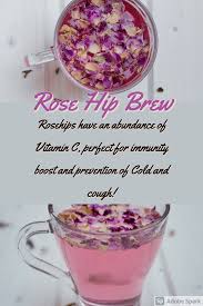 Your regular rose hips will turn into prepared rose hips. after that you can start cooking the rose hip tea. Health Benefits Of Rosehip Tea Home