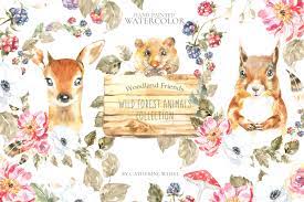 Watercolor Animals Woodland Friends In 2021 Watercolor Animals Forest Animals Illustration Animal Illustration