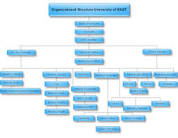 Organizational Structure Essay