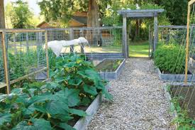 The old stone garden fence was kept in place as a newer, bigger one something i enjoy is doodling garden ideas with a simple pen on paper. How To Design A Pest Proof Vegetable Garden Finegardening
