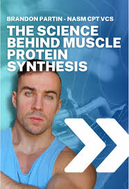 La Ciencia Detrás de la Síntesis de Proteínas Musculares