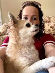 Our precious Emilia has not come back since Monday May 20th. She is an  American long hair 3 years old. Her color is Grey and white. Last seen in  Troutdale Beavercreek Road