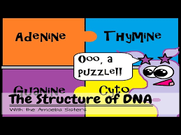 Complementary and alternative medicines (cams) are treatments that fall outside of mainstream healthcare. Old Video Dna Structure And Function Youtube