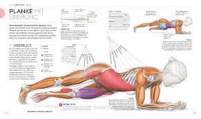 Quadriceps übungen zuhause und im fitness studio mit bildern, videos und anleitung! Krafttraining Die Anatomie Verstehen Dk Verlag