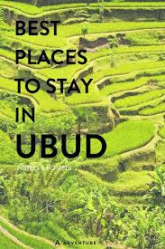 I should probably warn you that shopping on jl. Best Places To Stay In Ubud Bali Top Hotels Hostels Ubud Hotels Ubud Travel Around The World