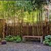 Bamboo garden irving bamboo garden design ideas indoor source monstaah.org. Https Encrypted Tbn0 Gstatic Com Images Q Tbn And9gctp8gfuclz2otoznvsl8hh5oy Rujxobtukdmmmshbaf7a5zhjl Usqp Cau