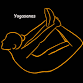 Yogasanas - Ashburn, VA — DC Hatha Yoga event image