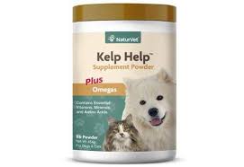 Unfortunately, this is one of those questions that have both a yes and no answer. Can Cats Eat Seaweed Best Seaweed Cat Supplements Pet Care Advisors