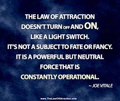 I am only passionately curious.. Law Of Attraction Quotes Famous Quotesgram