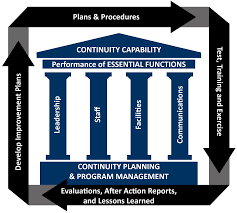 Business Continuity Risc Realized Intelligent Solutions Corporation
