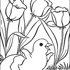 Apalagi kalau gambar mewarnai nya sudah siap. Gambar Mewarnai Gambar Bunga Tulip Cantik Anak Ayam Lucu Menetas Daging Di Rebanas Rebanas