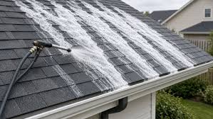 Roof maintenance and moss removal