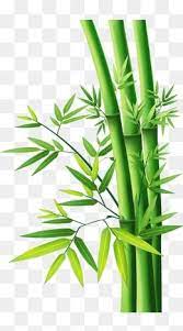 Bamboo Bamboo Bamboo Clipart Bamboo Bamboo Leaves Png Transparent Clipart Image And Psd File For Free Download Bamboo Art Painting Bamboo Art Bamboo Drawing