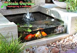 Kolam ikan budidaya infoakuakultur com from www99co. Galeri Foto Kolam Ikan Koi Minimalis