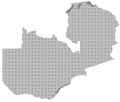 Image result for Craterosiphon quarrei