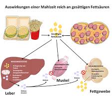 Auf dieser seite von codycross.games können sie auf codycross zugreifen saccharose, glukose und fruktose sind arten von __ antworten, cheats und lösungen. Zuckerfreie Diaten Der Unterschied Zwischen Fruktose Und Glukose Diaterle7 2020