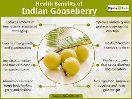 Lets have a look at the different benefits of amla for hair amla is one of the greater known antioxidants which work for our whole body including hair. Amla For Hair Growth Gives Benefits Of Amla For Hair Problem