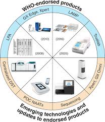 Advances In Molecular Diagnosis Of Tuberculosis Journal Of Clinical Microbiology