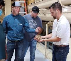 Thank you Mason Otten for giving us a tour of the Semitropic Almond Huller  Facility