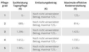 In 6 wochen zu den dringend benötigten fördermitteln für. Anspruch Und Voraussetzungen Kostenerstattung Tagespflege Betreuungsstuben Ronhof