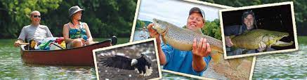 Maybe you would like to learn more about one of these? White River Trout Fishing Lodging His Place Resort Cotter Ar