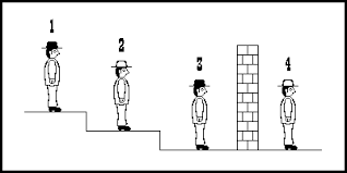Black And White Hats Puzzle Puzzle Fry