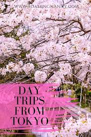 Day Trips From Tokyo In 2020 Day Trips From Tokyo Day Trips Japan Travel