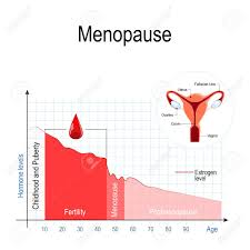 Menopause Chart Estrogen Level And Aging Fluctuation Of Hormones