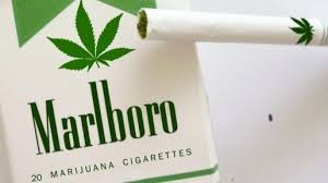 If phillip morris were to grow or manufacture marijuana cigarettes. Marlboro Finally Buys Into Legal Cannabis Invests Ca 2 4 Billion