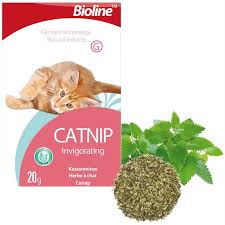 Bioline Catnip Dogal Kedi Nanesi 20 Gr