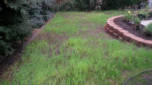 Mulch is any material that is applied to the surface of the soil. Mulch Master Shredded Straw Product Details