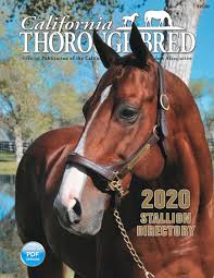 California Thoroughbred Stallion Directory 2020 By Ctba Issuu
