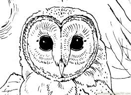 Owl Face Printable Coloring Page For Kids And Adults Owls Drawing Owl Coloring Pages Owl Kids