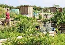 Lai iegūtu vairāk informāciju, lūdzu, reģistrējieties. Les Potagers De Gally Les Fermes De Gally