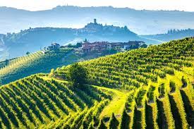 Best known these days as the setting for the book and film under the tuscan sun, this gorgeous hillside locale is a great place to slow down the pace of your trip. 19 Best Day Trips From Florence Tourscanner