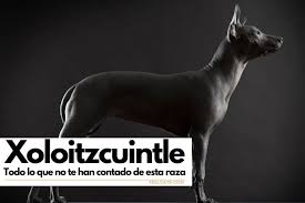 Check spelling or type a new query. Gncxpvebqekdim