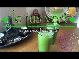 Si le yaourt est très épais, ajoutez de l'eau ou du lait non laitier. Idee Jus Vert Facon Smoothie Sans Lait Youtube