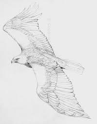B6eb83755712437d44f344aa5eb1d766 Jpg 600 767 Pixel 2020 Cizimler Eskiz Eagles