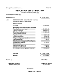 They focus on the significant work that must be done to ensure the mission of the foundation contributes positively to the lives… Fillable Online Mati Gov Sef Budget Accountability Form No 1 Annex D Report Of Sef Mati Gov Fax Email Print Pdffiller