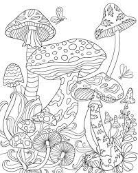 The natural, organic feel of the artwork will add to the feeling of calm you get from great coloring books. Pin On Coloring Book Page