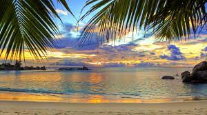 Check spelling or type a new query. Laptop 1366x768 Beach Wallpapers Hd Desktop Backgrounds 1366x768 Beach Wallpaper Beach Mural Sunset Nature